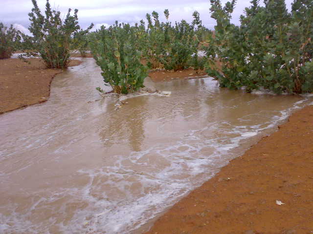 مقاييس أمطار البارحة على مناطق متفرقة