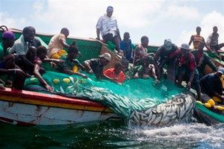 السنغال: تجدد الانتقادات لاتفاقيات الصيد مع موريتانيا