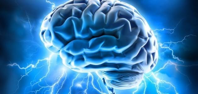 تائه يبحث؟ مدخل علمي الى الايمان‼(ح: 11)