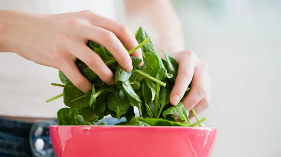 5 فوائد صحية مذهلة لهذه الأوراق الخضراء