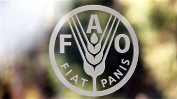 موريتانيا تشارك في ورشة عمل لمنظمة «فاو» حول مكافحة سوسة&nbsp;(…)