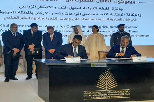 الإعلان عن تنظيم المهرجان الدولي الأول للتمور&nbsp;(…)