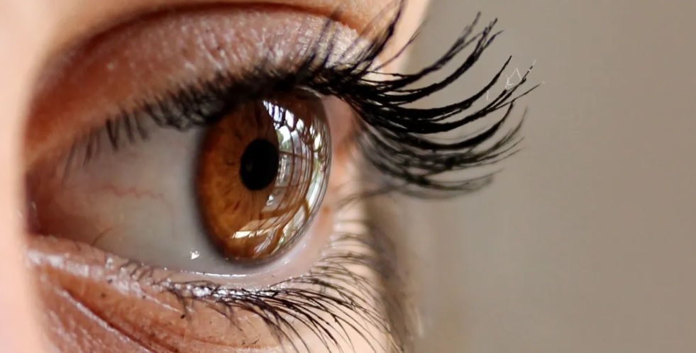 علامة تحذير من مرض خطير عندما تظهر هذه العلامة في عينك