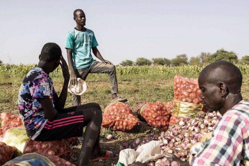 مساع موريتانية لتوسيع مشاركة القطاع الخاص في التنمية