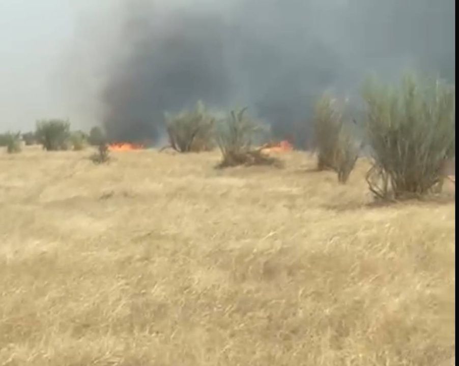 صور من الحرائق التي نشبت في المراعي قرب لعيون