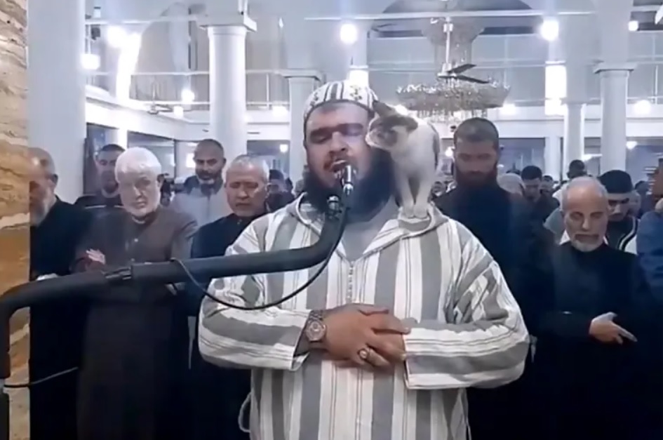 قطة الإمام الجزائري ودلالة ما تلاه في التراويح(صورة)