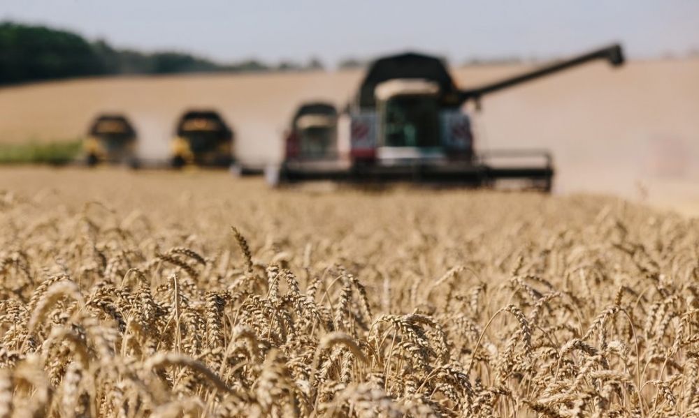 اللجنة الدولية للصليب الأحمر تحذر من أزمة غذائية في&nbsp;(…)