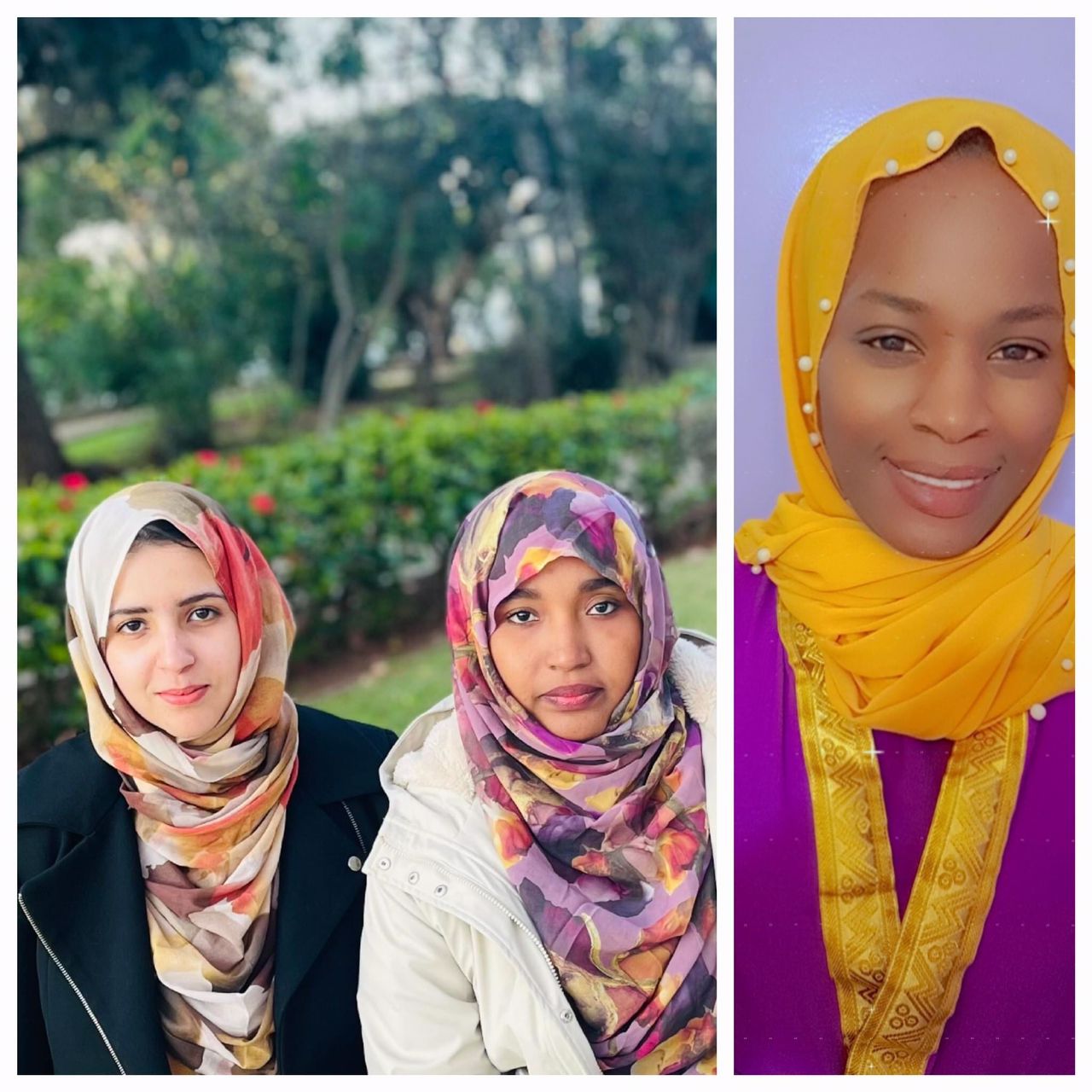 فتيات موريتانيات تتصدرن نتائج المعهد الوطني للإحصاء (...)