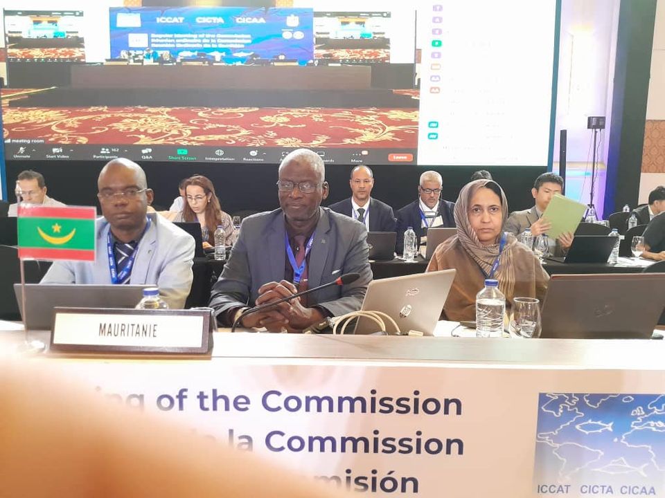 اجتماع دولي للمحافظة على أسماك التونة بالمحيط الأطلسي&nbsp;(…)