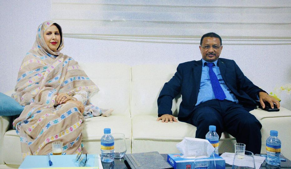 معادن موريتانيا واكناس تتفقان على إنشاء لجنة فنية (...)