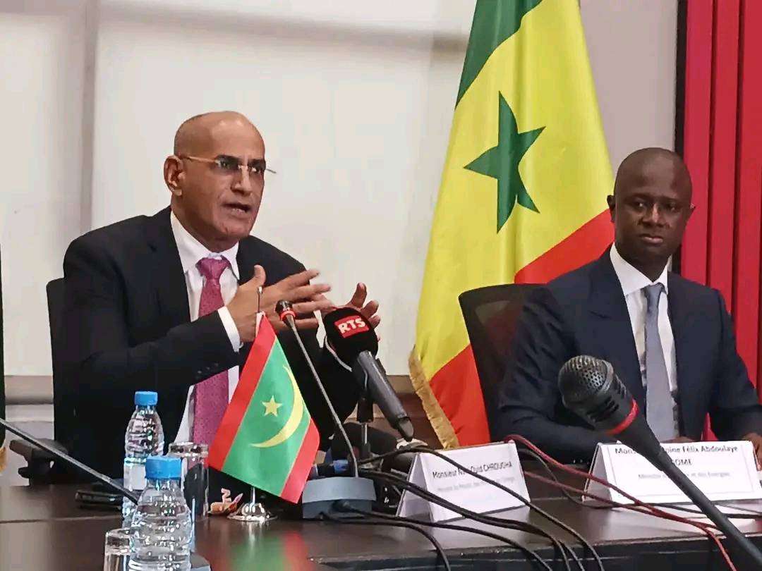 موريتانيا والسينغال: مشروع إنتاج الغاز من حقل GTA (...)
