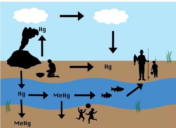 الحماية من الزئبق أولى أولويات الحق في الصحة