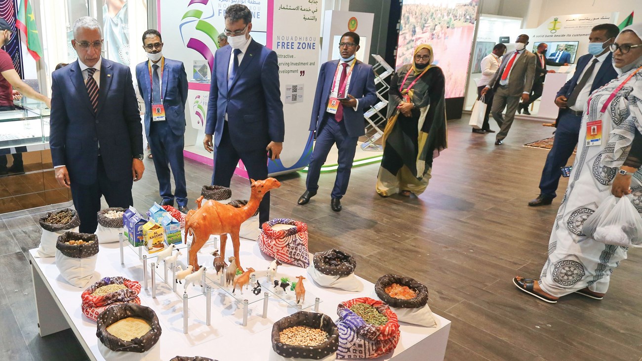 وزير الثقافة المختار ولد داهي: التجربة الإماراتية أنموذج&nbsp;(…)