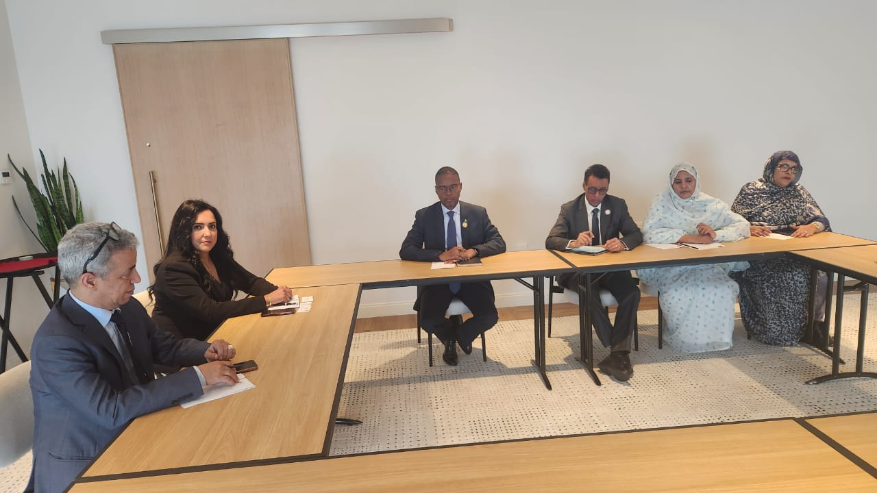 الوزير الأول يبحث فرص الاستثمار في مجال الطاقة النظيفة&nbsp;(…)