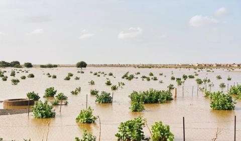 مقاييس الأمطار على 3 ولايات في بعض الأماكن تجاوزت الـ100 مم