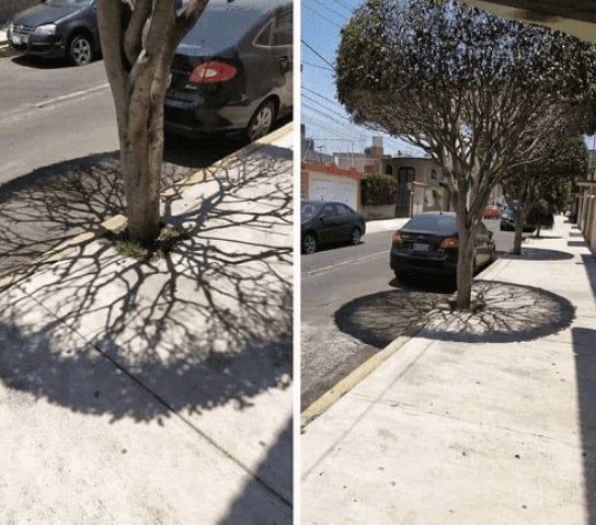 موريتانيا من بين دول عربية تشهد ظاهرة انعدام ظل الظهيرة&nbsp;(…)