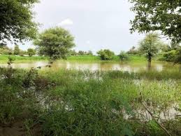 مقاييس الأمطار على 11 ولاية