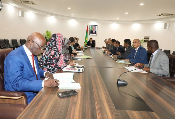 اللجنة الوزارية المكلفة بحقوق الإنسان تناقش تقريرين (…)