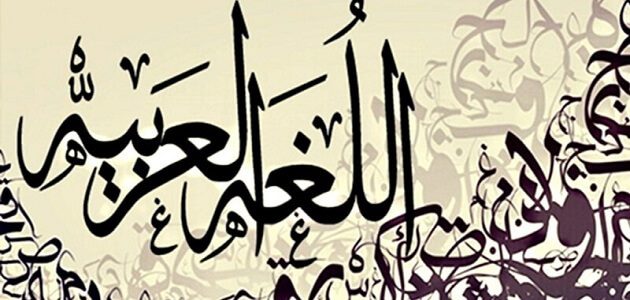 كلمة عن اللغة الانسانية لغة الضاد!!