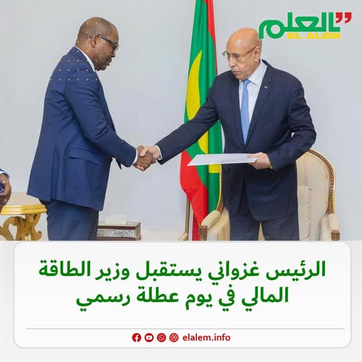 الرئيس غزواني يستقبل وزير الطاقة المالي في يوم عطلة رسمي