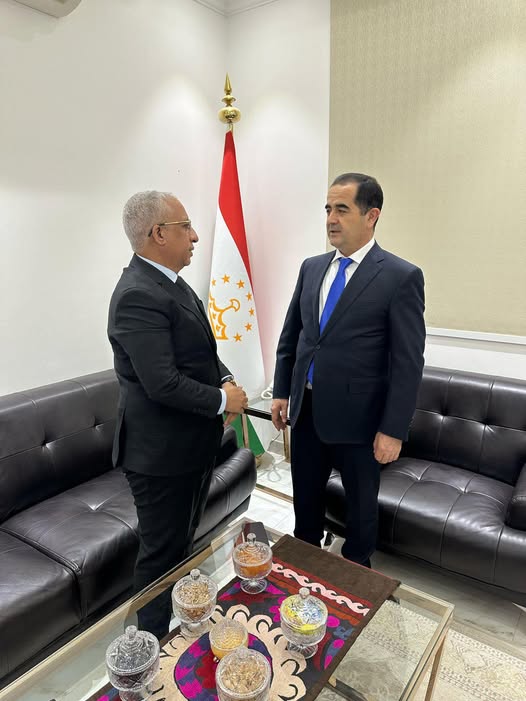 موريتانيا تناقش مع طاجيكستان آليات التنسيق والعمل&nbsp;(…)