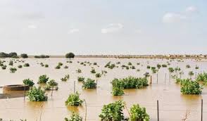 مقاييس الأمطار على 8 ولايات