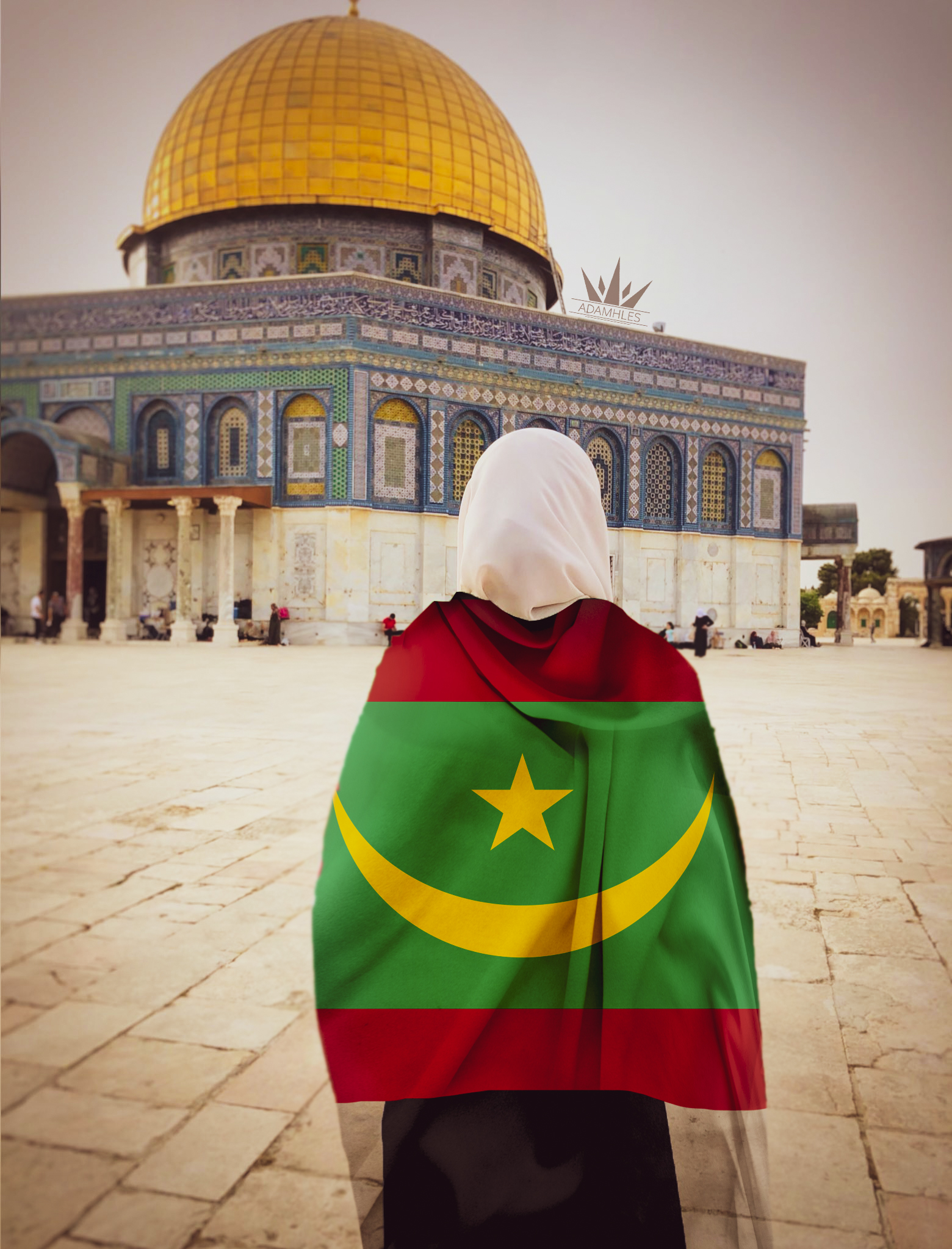 موريتانيا تدعو إلى تكثيف الجهود لنيل فلسطين عضوية أممية&nbsp;(…)