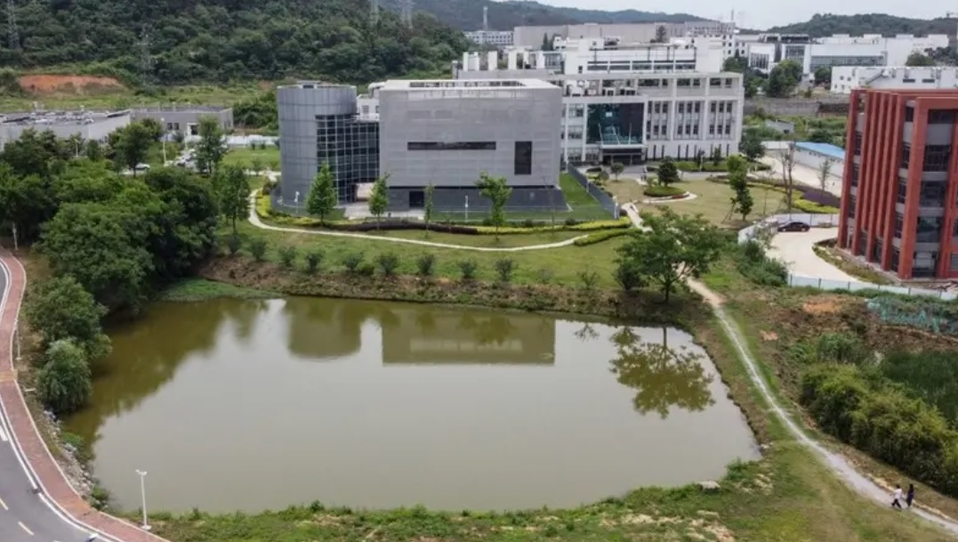 بعد اقتراب كورونا من إتمام عامه 3: رسالة.. كورونا تسرب&nbsp;(…)