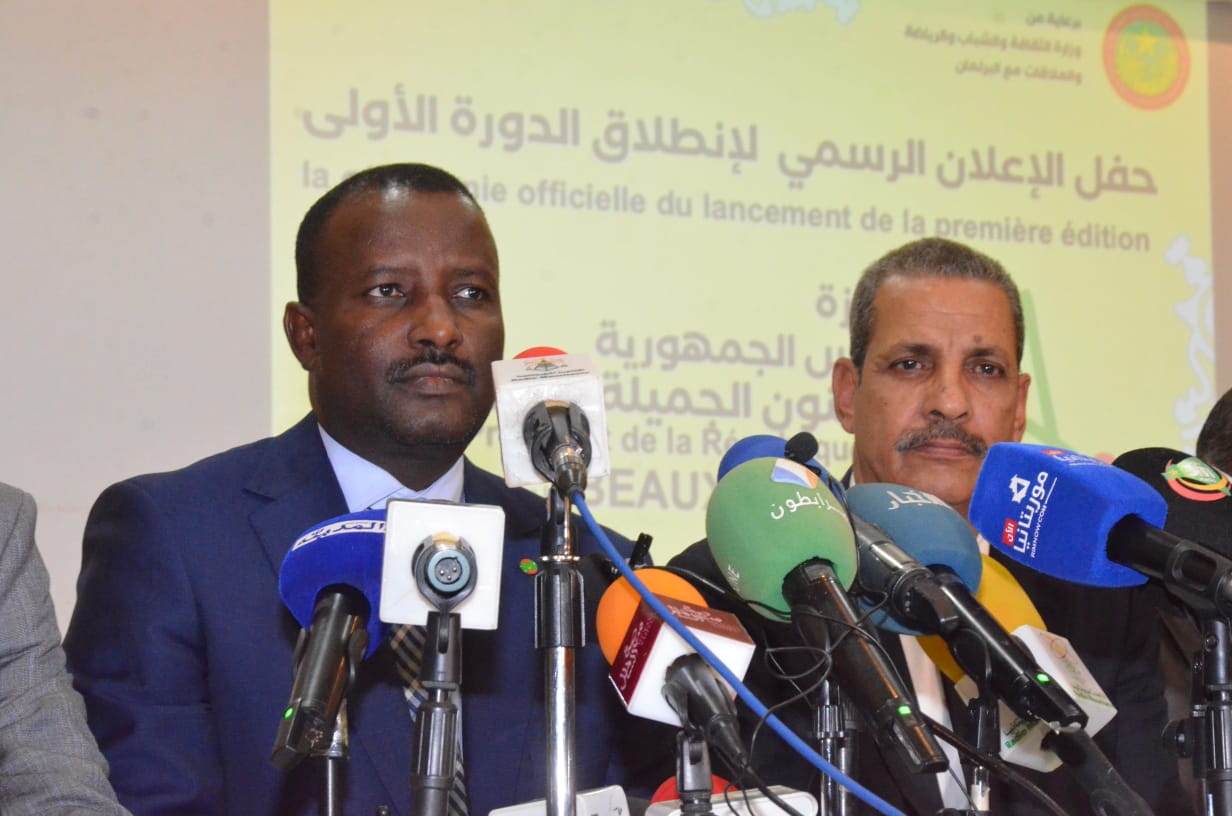 وزارة الثقافة تطلق جائزة رئيس الجمهورية للفنون الجملية