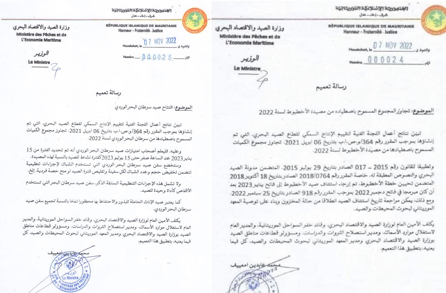 وزارة الصيد: هذه تواريخ فتح مجال صيد الأخطبوط وسرطان&nbsp;(…)