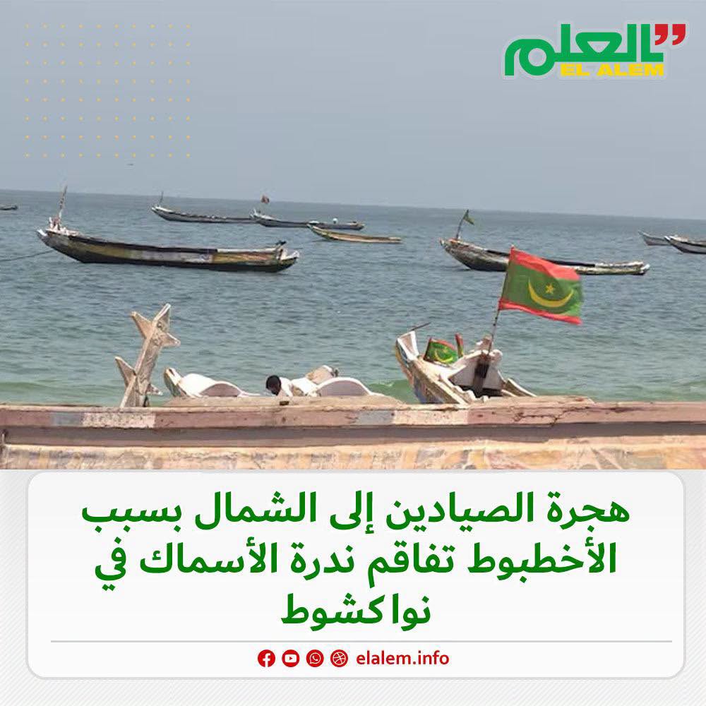 هجرة الصيادين إلى الشمال بسبب الأخطبوط تفاقم ندرة&nbsp;(…)