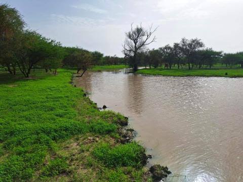 زادت على 60 ملم في بعض المناطق.. مقاييس الأمطار على 7 ولايات