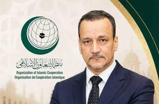 ولد الوافي: موريتانيا وكفاءة أبنائها في خدمة الأمة