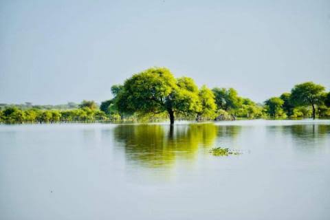 مقاييس الأمطار على 6 ولايات