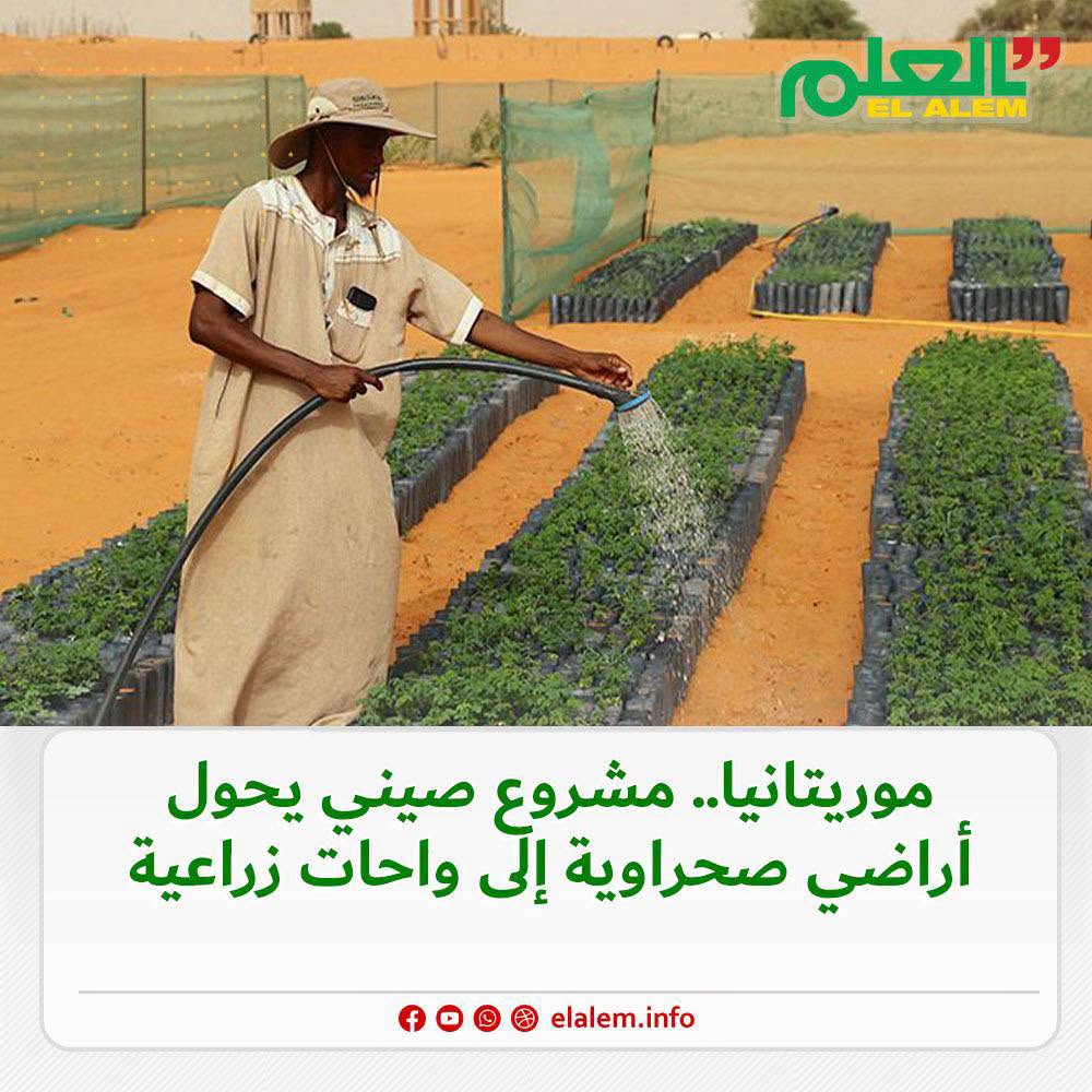 تقرير: موريتانيا.. مشروع صيني يحول أراضي صحراوية إلى&nbsp;(…)