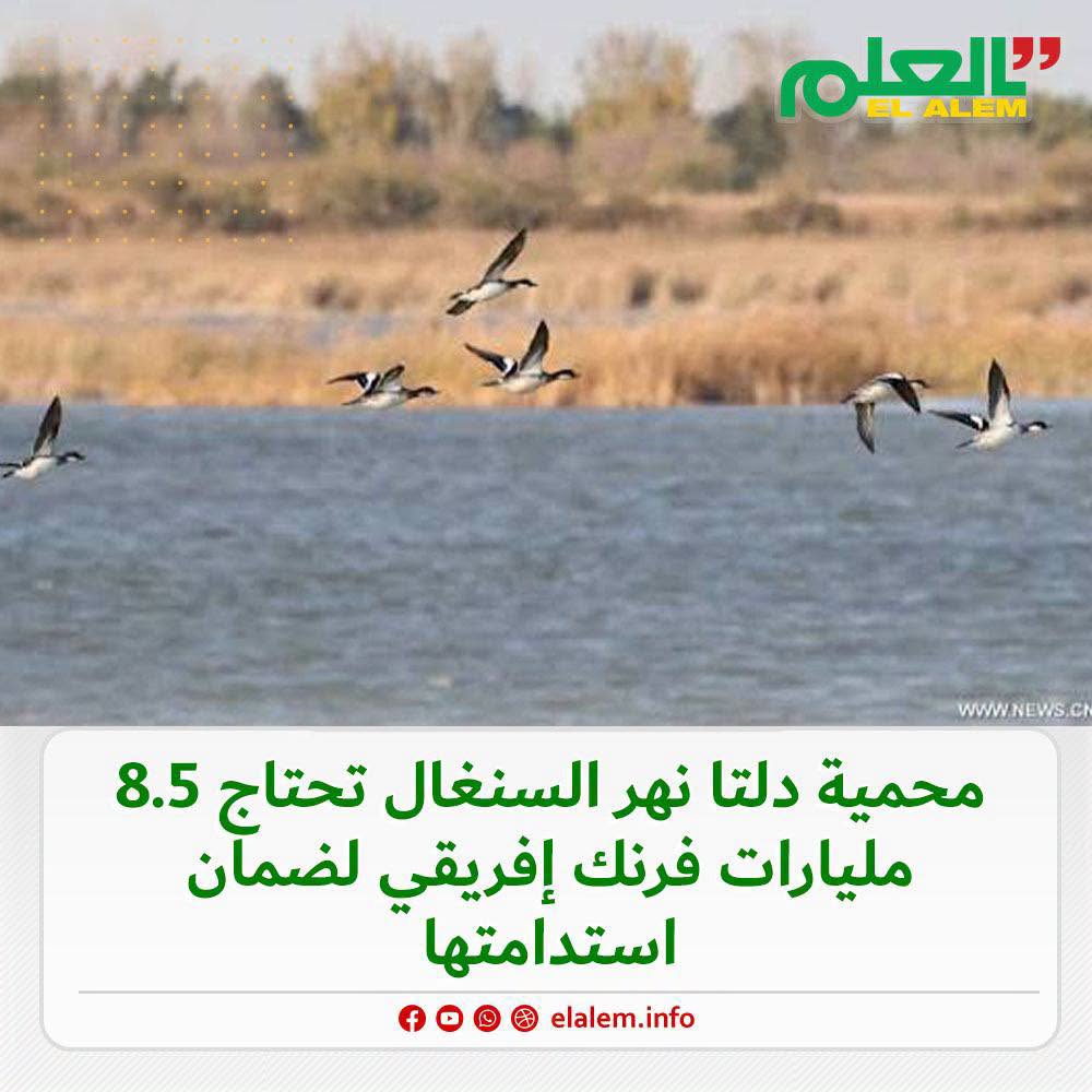 محمية دلتا نهر السينغال تحتاج 8.5 مليارات فرانك إفريقي لضمان استدامتها