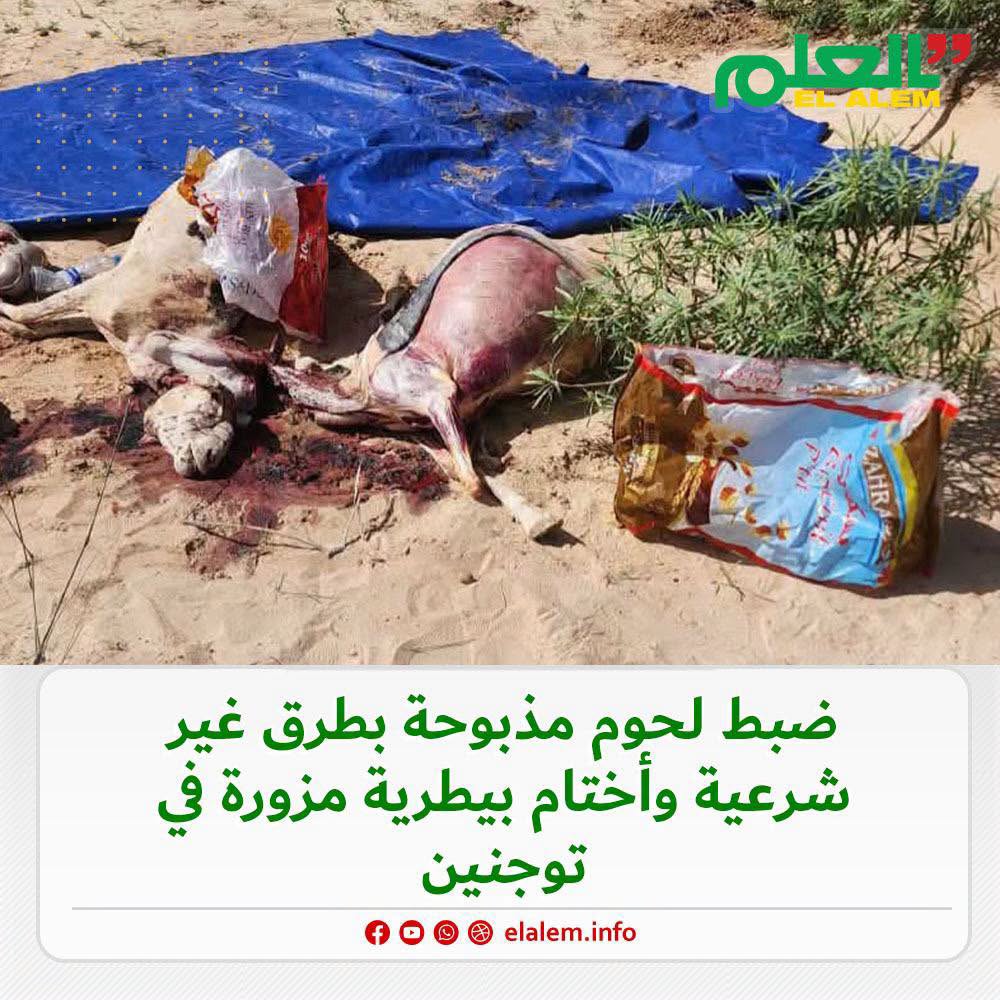 ضبط لحوم مذبوحة بطرق غير شرعية وأختام بيطرية مزورة في توجنين