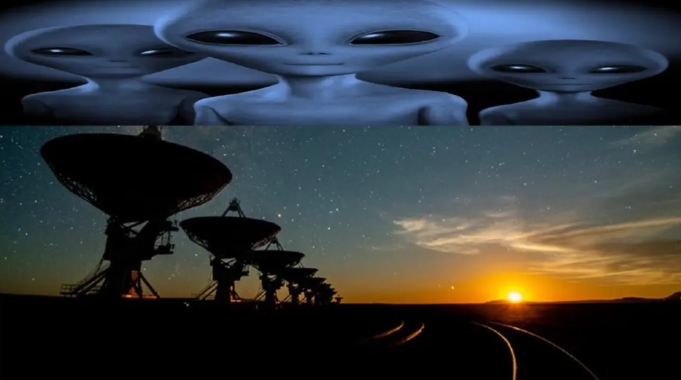 علماء يحذرون من تواصل 