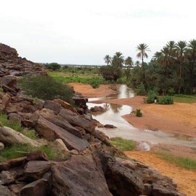 مواطنون من مركز القدية  (واحة لگرين) يطالبون رئيس&nbsp;(…)