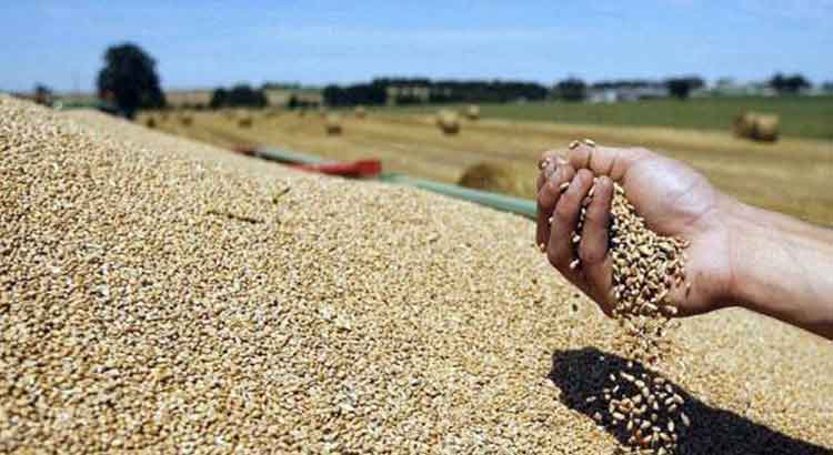 تقرير: هل تحقق موريتانيا اكتفاءها من الحبوب بعد أن أعلنت&nbsp;(…)