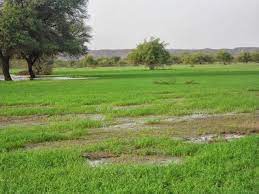 مقاييس الأمطار في خمس ولايات