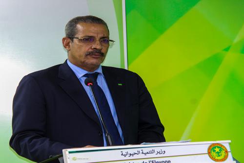 وزير التنمية الحيوانية: الكميات المنتجة من الأعلاف محليا&nbsp;(…)