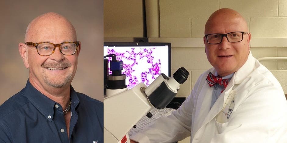 علماء عثروا على أهم ما يشير إلى موت المصاب بكورونا