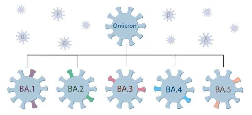 مسؤولة صحية عالمية تحذر: استعدوا لموجة كورونا جديد