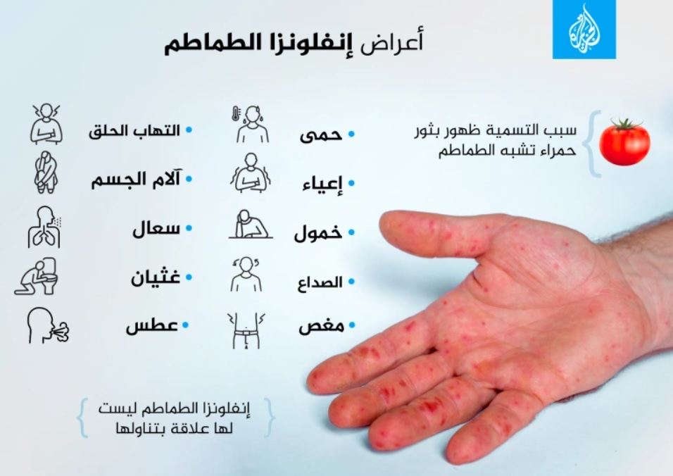 تعرف على إنفلونزا الطماطم مرض جديد