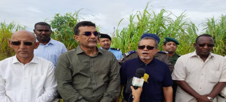 وزير الزراعة: يجب الإقبال على التنويع الزراعي