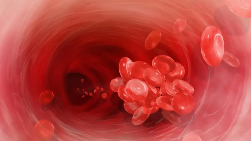 تعرف على 5 أطعمة يمكن أن تسبب جلطات دموية خطيرة بينها الخبز