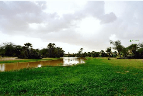 مقاييس الأمطار على 11 ولاية