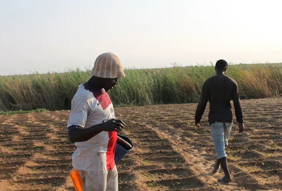 زعيم المعارضة في موريتانيا يحذر من المجاعة بسبب نقص&nbsp;(…)