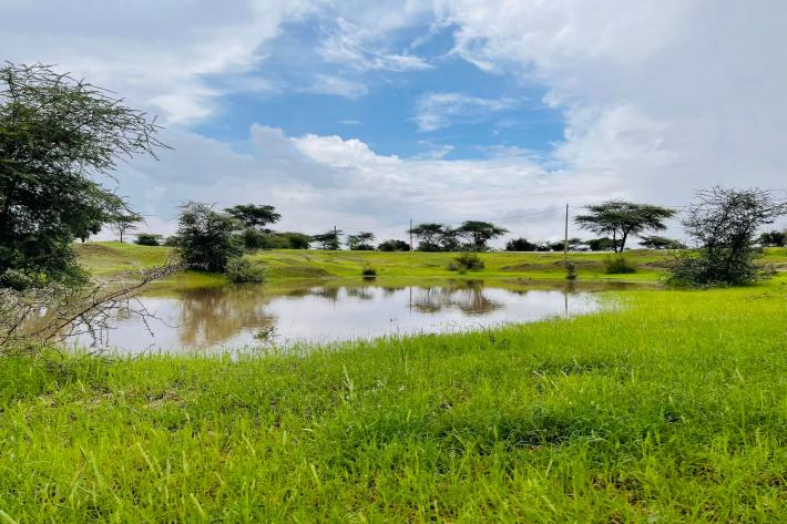 مقاييس الأمطار في 5 ولايات